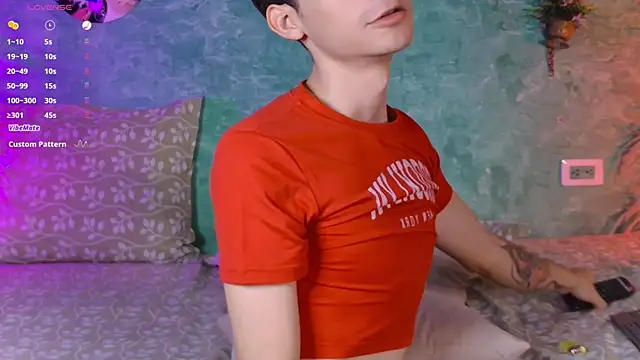 VicenteFerrer webcam