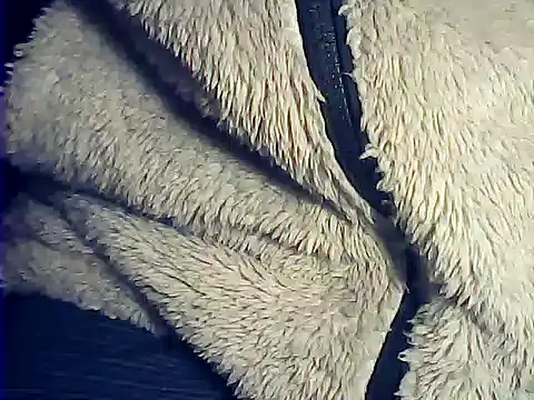 Preview of kalinixta