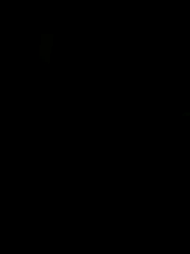 sukhpreetdhindsa webcam