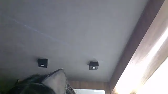 SkinnyKitten webcam