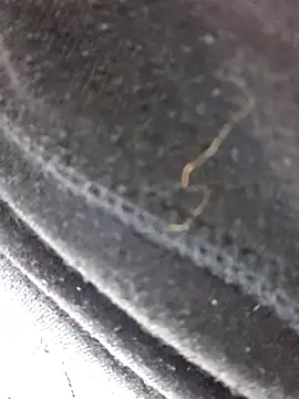 velvetdiablo (F young) - Cum and fuck show