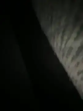 Preview of lionayowe