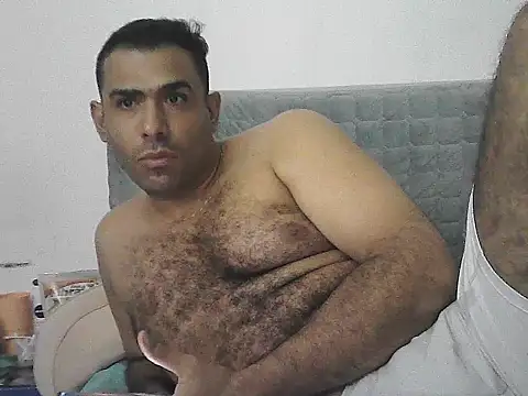 Preview of alphalatinobear