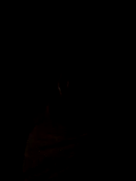 Preview of roludo-7688