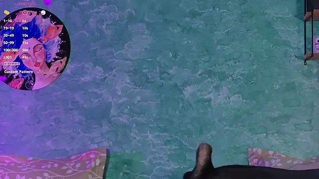 VicenteFerrer webcam