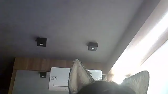 SkinnyKitten webcam