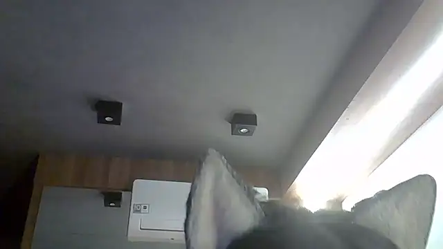 SkinnyKitten webcam