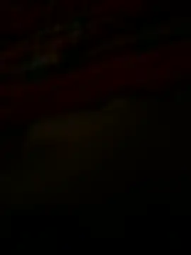 23centimetrinerii webcam