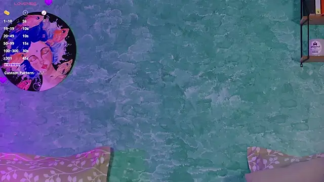 VicenteFerrer webcam