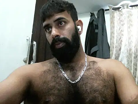 indianhairybull webcam