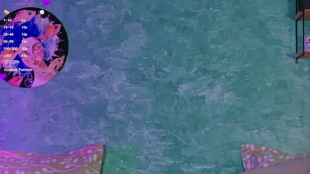 VicenteFerrer webcam