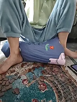 micai_fengbei webcam