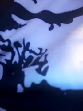 hotCOUPLEPETRA webcam