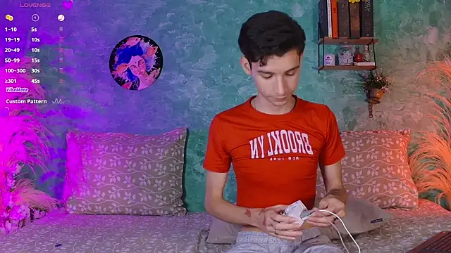 VicenteFerrer webcam