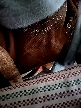 Webcam Model (Love-890)  is live.Free join now!