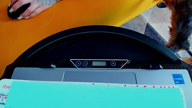 Patricia_bloom webcam