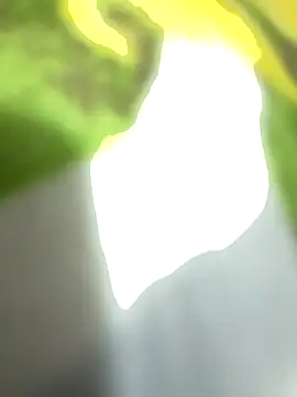 chocolatestrawberrydips webcam