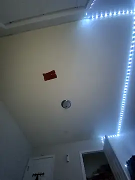 Live sex cam di Vicho1991