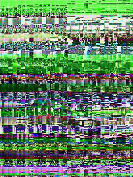 aurorabrow - AuroraBrow's free webcam