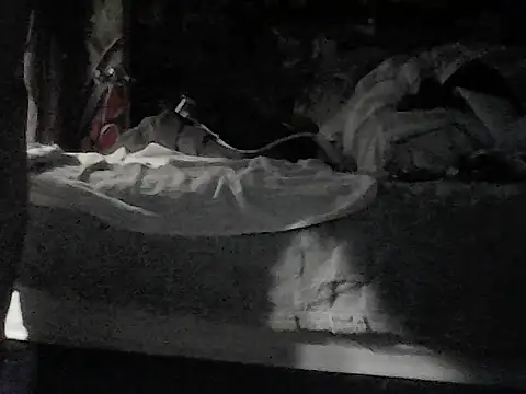 Twoslipperywhenwett webcam