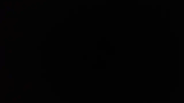 Preview of trevorsteele