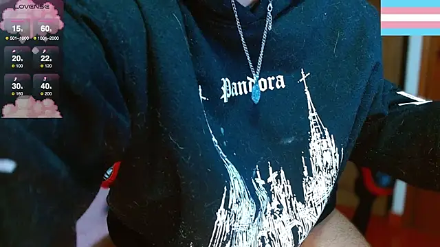 Hgp3riodictabl3 webcam