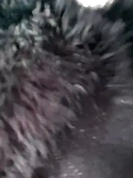 ruhi_07 (F young) - Boobs show 😍