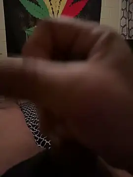 NiftyCaptain3 webcam