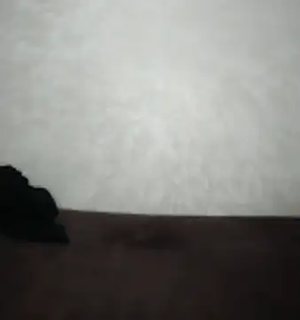 Webcam Model (Sexy__Arab) is live