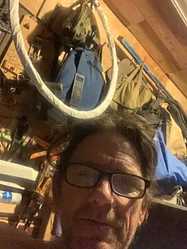 likewise - Likewise's free webcam