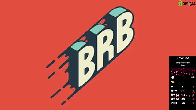 supa_dupa_fly webcam