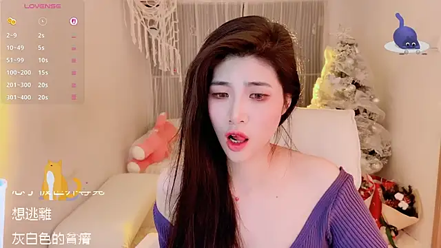 Vaidurya-Yolo webcam