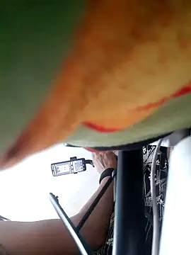 bul-bul-rani (F teen) - 3500