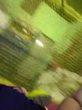 Nilanjona-Ray webcam