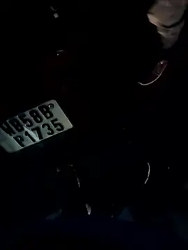 Bengali_BULL1 webcam