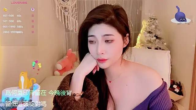 Vaidurya-Yolo webcam