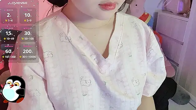 BeChinh_Lee webcam