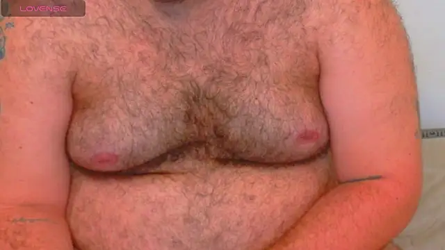 big_bearr webcam