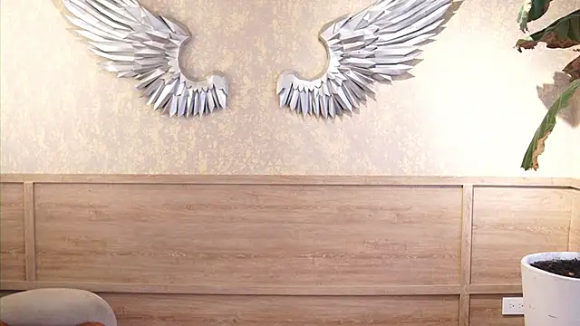 Ethan_occonor webcam