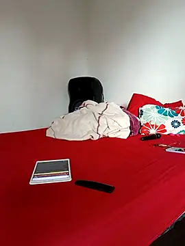 LEIRIS_Y_FRED_01 webcam