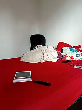 LEIRIS_Y_FRED_01 webcam