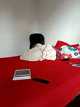 LEIRIS_Y_FRED_01 webcam