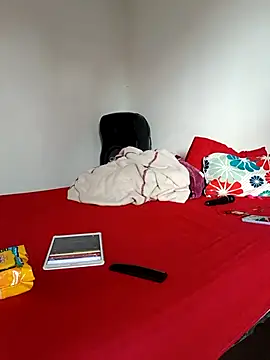 LEIRIS_Y_FRED_01 webcam