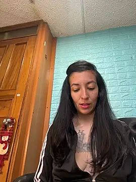 SALOME_KORLAND webcam