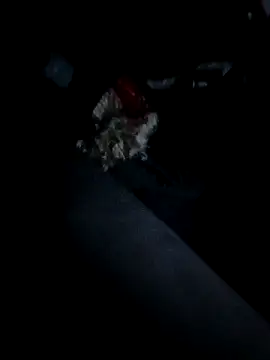 Bigcockmexi13 webcam