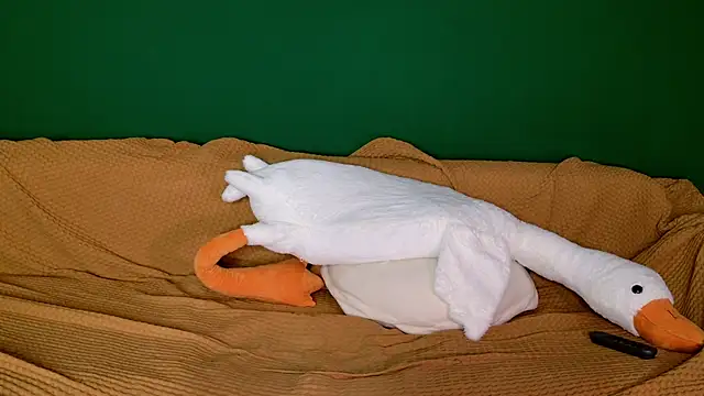 jane-booblegum webcam