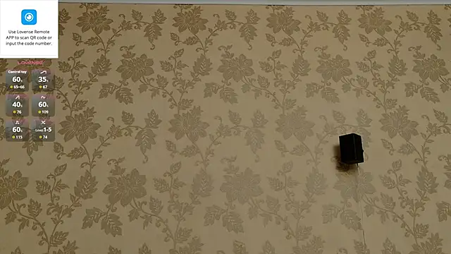 MartinBrandon webcam