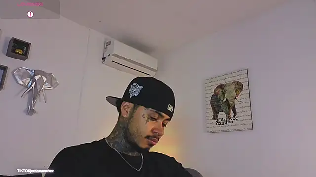 JordanSmiith_ webcam