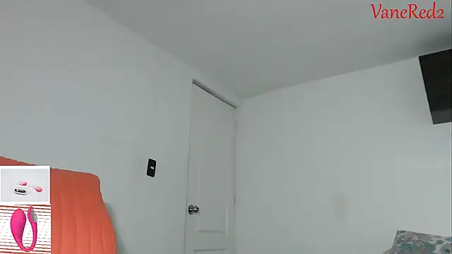 vanered2 webcam