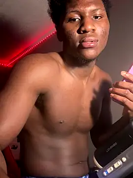 Festivitiesking1 webcam